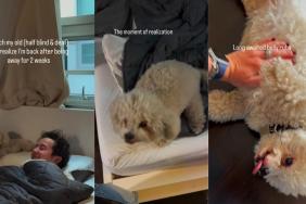 Senior Dog, Half Blind & Deaf, Slowly Figures Out Mom’s Home After Weeks