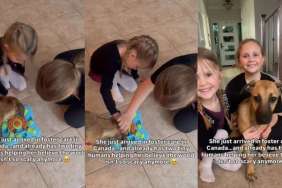 Foster Dog Realizes the World Isn’t So Scary With Little Girls by Her Side