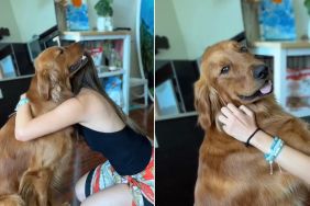 Golden Retriever Always Comes Back for More Every Time Mom Hugs Him