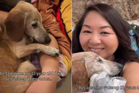 Senior Dog Gently Falls Asleep in Mom’s Arms Like It’s the Safest Place She Knows