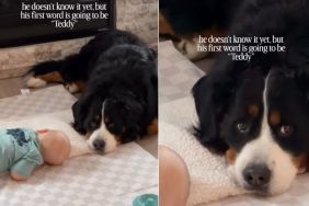 Big Dog Finds a Best Friend in Little Baby, Unaware His First Worlds Will Be About Him