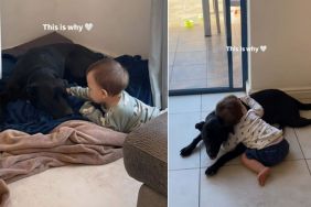 Dog & Little Boy Growing up Together Shows a Bond That Only Gets Better With Time