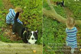Dog Knows Exactly What To Do When Little Girl Faces Obstacle During Walk