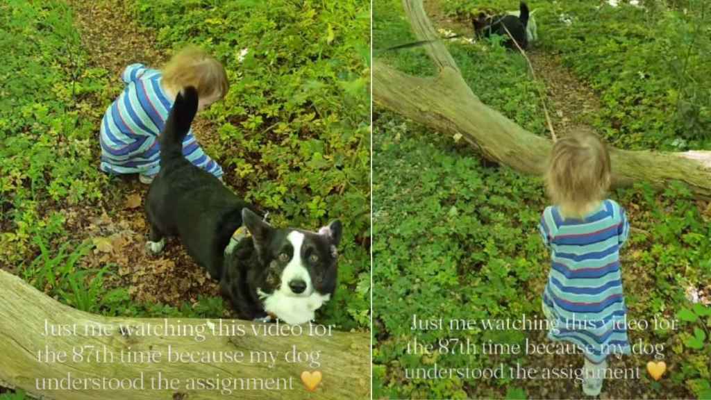 Dog Knows Exactly What To Do When Little Girl Faces Obstacle During Walk