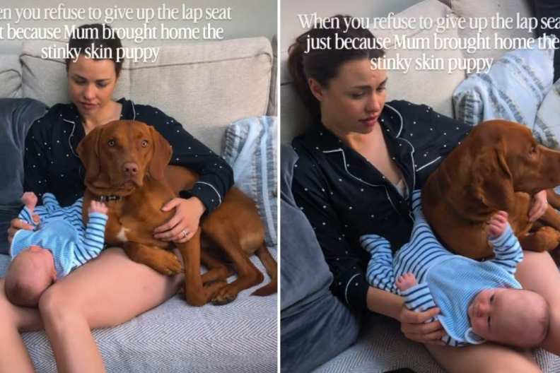 Dog Refuses To Give up Mom’s Lap After Baby Arrives, So They Share It