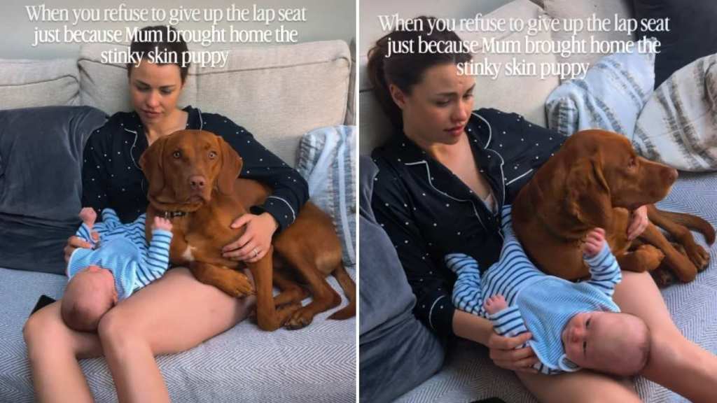 Dog Refuses To Give up Mom’s Lap After Baby Arrives, So They Share It