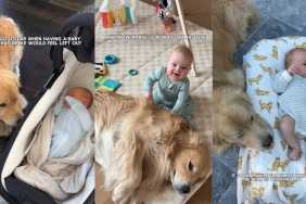 Golden Retriever’s Bond With Little Baby Turns Mom’s Worst Fear Into a Fairytale
