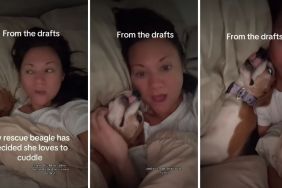 Rescue Dog Can Finally Find Peace After Cuddling With Owner