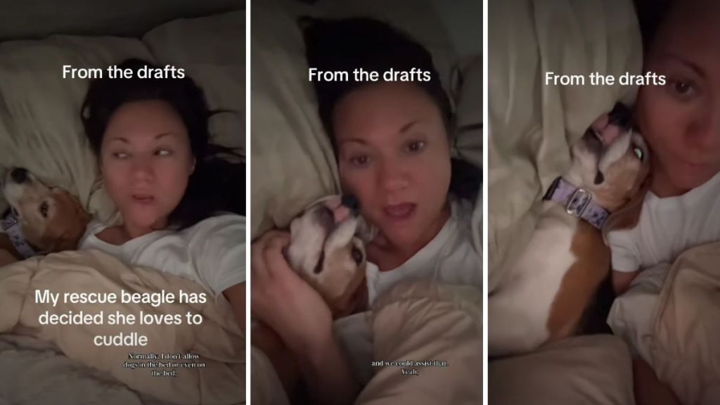Rescue Dog Can Finally Find Peace After Cuddling With Owner