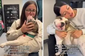 Rescue Dog Goes From Being Abandoned To Experiencing Girlhood for First Time