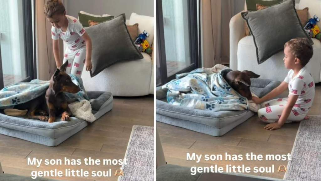 Big Dog Brings Out Gentle Side of Little Boy, Who Tucks Him Into Bed With a Kiss