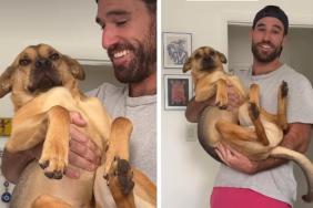 Rescue Dog Sees Lizard, Makes One Bad Decision & Ends up in Air Jail