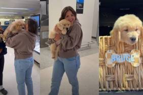 Golden Retriever Puppy Meets New Parents & Instantly Falls in Love