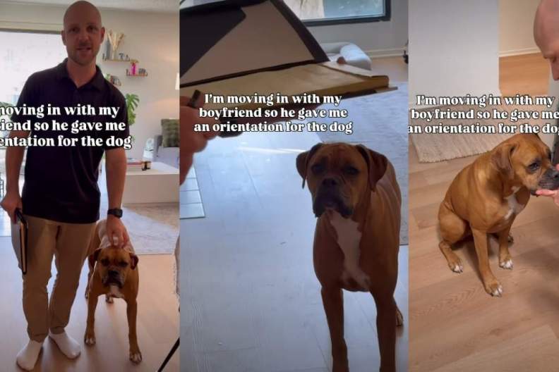 Dad Gives Orientation for Rescue Dog Before Moving in With Girlfriend