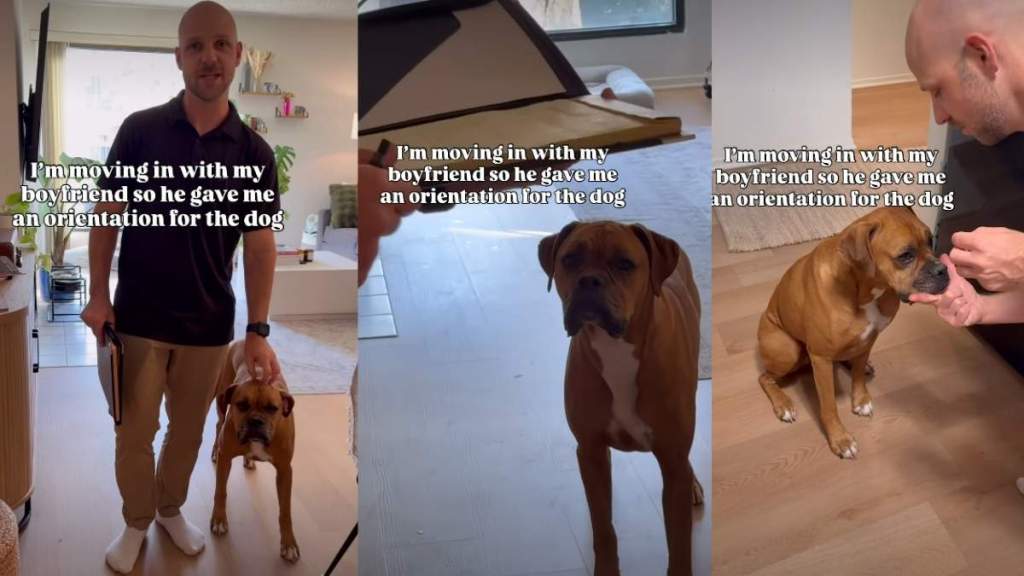 Dad Gives Orientation for Rescue Dog Before Moving in With Girlfriend