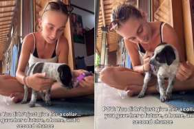 Tiny Rescue Puppy Gets a Collar & a Chance at the Life She’s Always Deserved