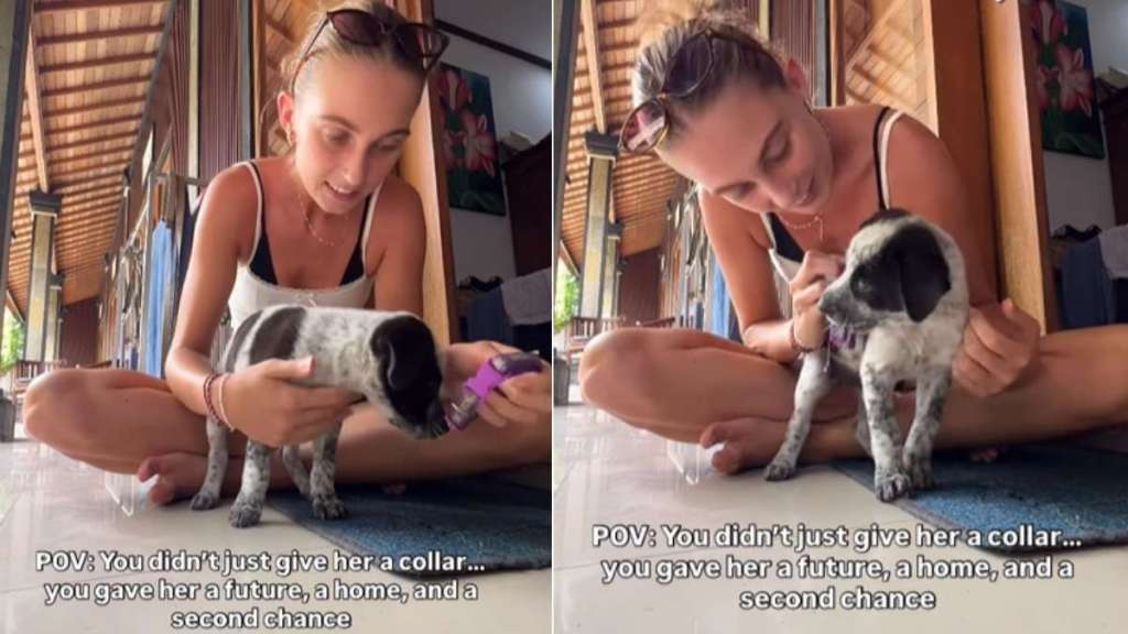 Tiny Rescue Puppy Gets a Collar & a Chance at the Life She’s Always Deserved