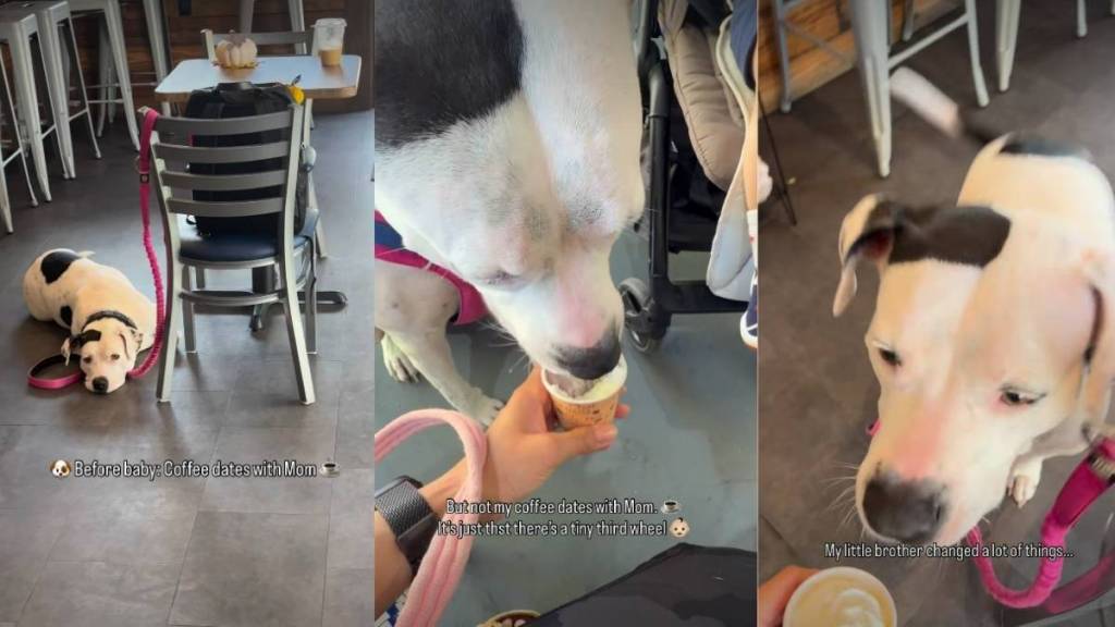 One Thing That Never Changes Between Dog & Mom Even After Baby