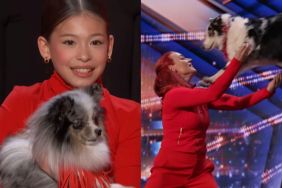 Surprise Dancing Dog Act on 'AGT' Wins the Ultimate Golden Buzzer