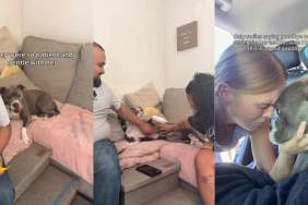 Shelter Dog Doesn’t Know It Yet but Foster Mom’s Teary Goodbye Is Where Forever Starts