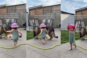 Big Dog Gets the Gentlest Back Pats From Little Girl Who Looks So Proud of Her