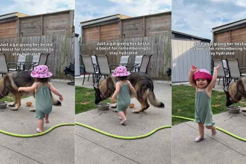Big Dog Gets the Gentlest Back Pats From Little Girl Who Looks So Proud of Her