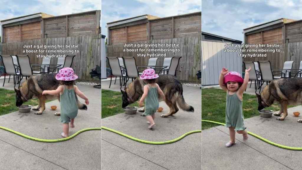 Big Dog Gets the Gentlest Back Pats From Little Girl Who Looks So Proud of Her