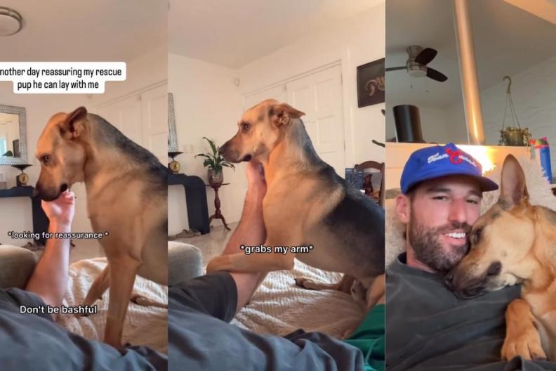 Rescue Dog Still Needs Dad’s Reassurance Before Cuddle, Even After 2 Years