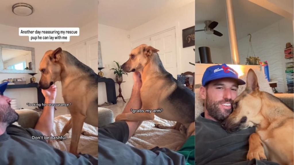Rescue Dog Still Needs Dad’s Reassurance Before Cuddle, Even After 2 Years