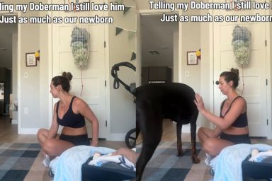 Big Dog Understands When Mom Tells Him He’ll Always Be Her Precious Baby