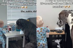 Dog Siblings Could Easily Pass off as ‘Full-Time Nannies’ for Baby