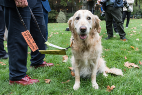 Service Dog Awarded His Own Medal Alongside Fencing Athlete