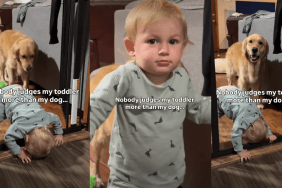 Golden Retriever Can’t Stop Judging Toddler’s Funny Act
