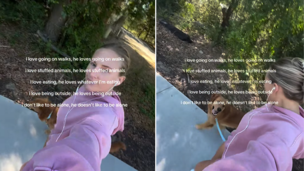 Golden Retriever Finds Mom Who Understands His Need to Never Be Alone Like It’s Fate