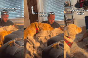 Golden Retriever Always Knows When His Little Girl Isn’t Feeling Best & Snuggles Close
