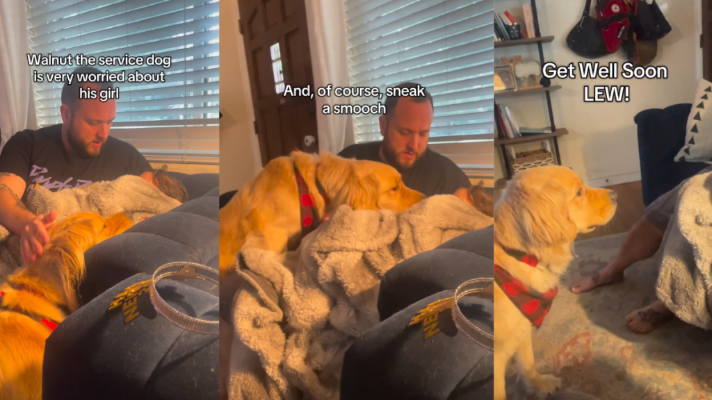 Golden Retriever Always Knows When His Little Girl Isn’t Feeling Best & Snuggles Close