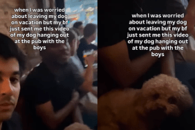 Dog Enjoys Quality Boys Time After Mom Leaves Him To Go on Vacation