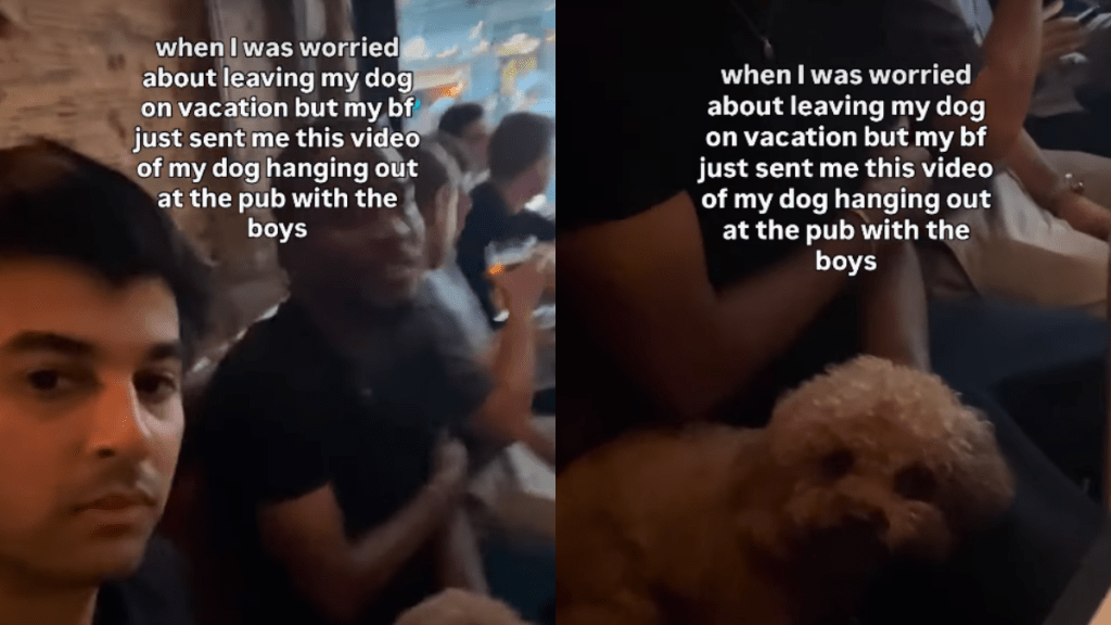 Dog Enjoys Quality Boys Time After Mom Leaves Him To Go on Vacation