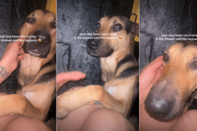Dog Hates Bath but Makes the Ultimate Compromise for Mom