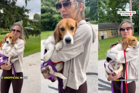 Foster Dog's Progress Is 'Measured in Tiny Moments' Each Equally Significant