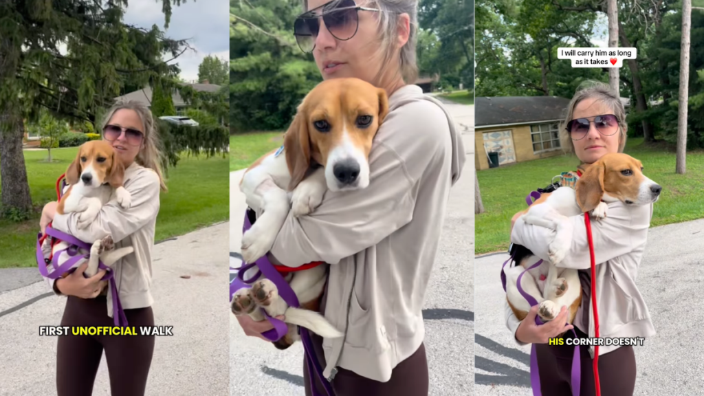 Foster Dog's Progress Is 'Measured in Tiny Moments' Each Equally Significant