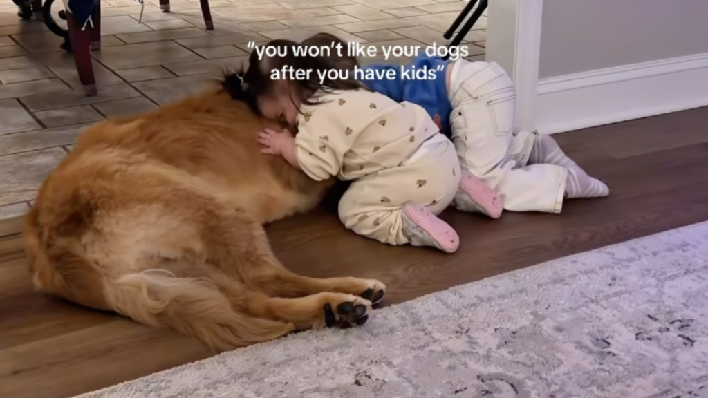 Golden Retriever Curls up Beside His Baby Girls Like It’s Where He Was Meant To Be