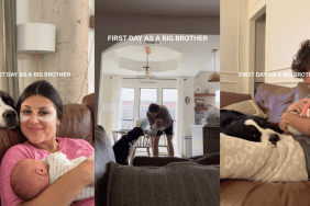 Big Dog Follows Little Baby Everywhere, Watching Over Him Every Step of the Way
