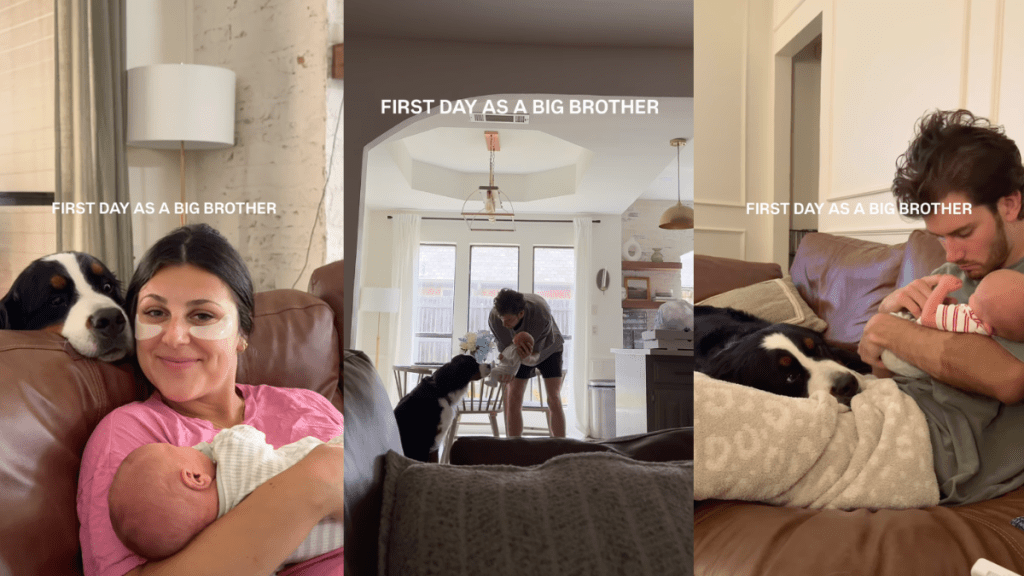 Big Dog Follows Little Baby Everywhere, Watching Over Him Every Step of the Way