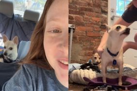 Dog Duo Head to Adoption Event, Unaware of What Future Holds for Them
