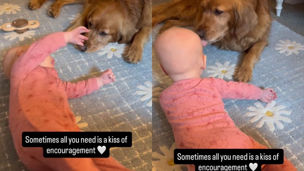 Golden Retriever Kisses Baby Like She’s Her Whole World & It’s as Precious as It Gets