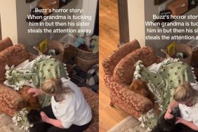 Golden Retriever Has One Rule When Grandma Tucks Him In: No Interruptions From Sister