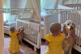 Senior Dog Lets Little Girl Dress Him up & Couldn’t Be Sweeter About It