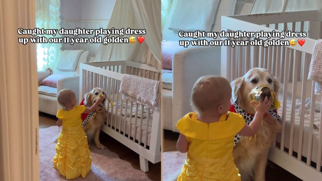 Senior Dog Lets Little Girl Dress Him up & Couldn’t Be Sweeter About It