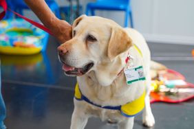 Therapy Dog's Birthday Party Gets a Disney Twist at Children's Hospital